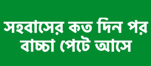 যৌন মিলন / সেক্স / সহবাস করার কত দিন পর পরিক্ষা করলে জানা যাবে বাচ্চা কন্সিভ করেছে?