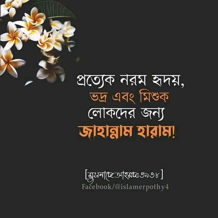 নম্র হওয়ার ফজিলত