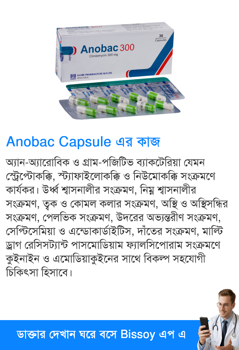 ব্যবহার