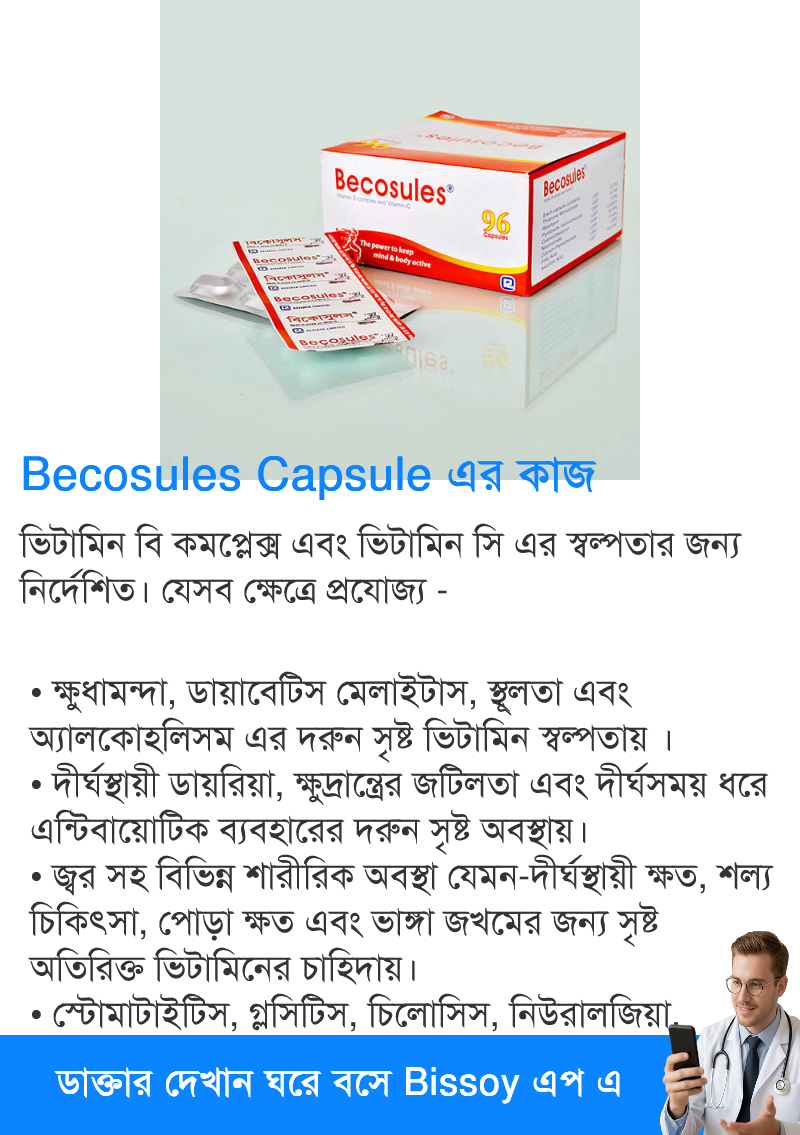ব্যবহার