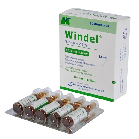 Windel Nebuliser Solution 2.5 mg/3 ml