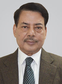 prof-dr-m-mujibul-hoque