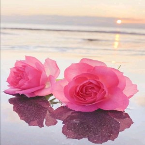 রাখি - Doctor Profile