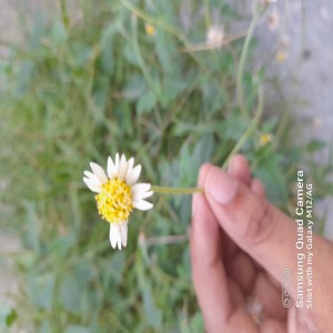 AbdulGaffarrand1 - Doctor Profile